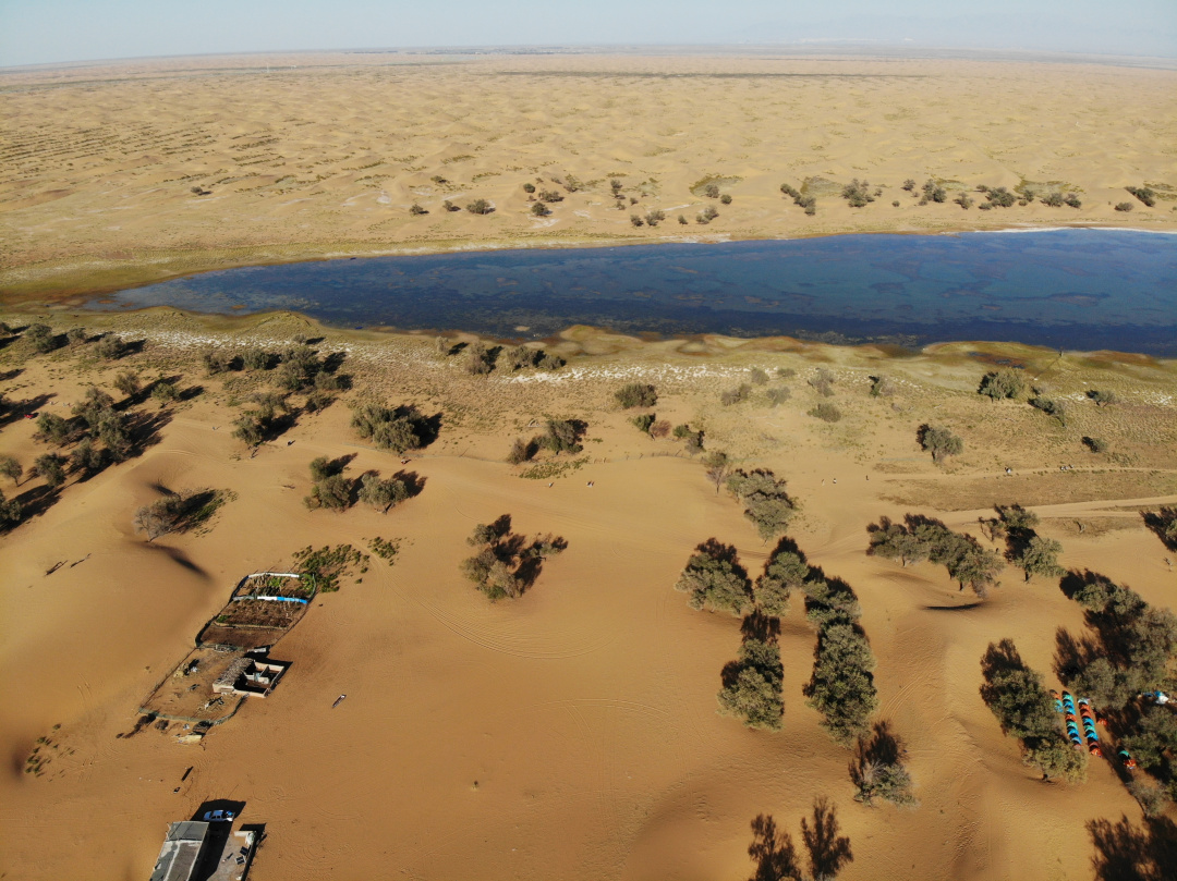 Forty years of treeplanting in China successes and failures Climate